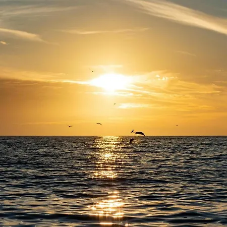 Holiday Home Portimão Portimão